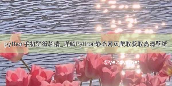 python手机壁纸超清_详解Python静态网页爬取获取高清壁纸