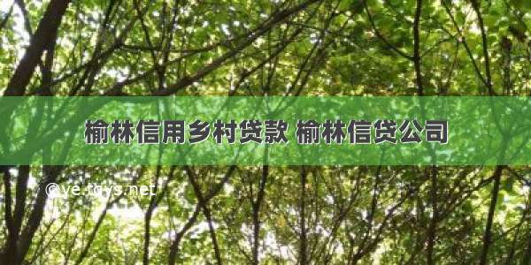 榆林信用乡村贷款 榆林信贷公司