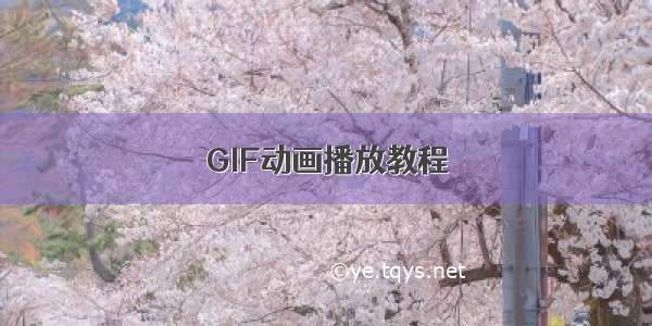 GIF动画播放教程