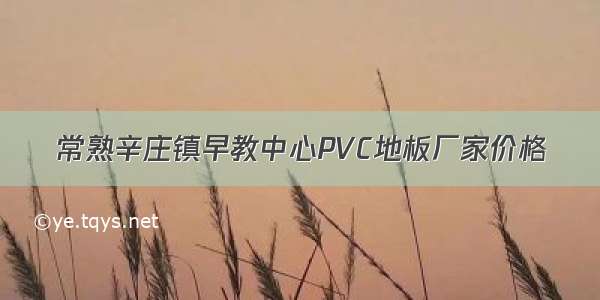 常熟辛庄镇早教中心PVC地板厂家价格