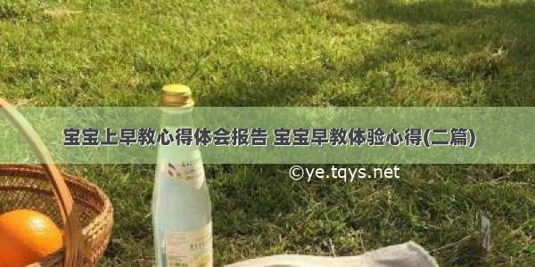 宝宝上早教心得体会报告 宝宝早教体验心得(二篇)