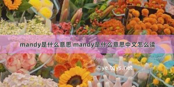 mandy是什么意思 mandy是什么意思中文怎么读