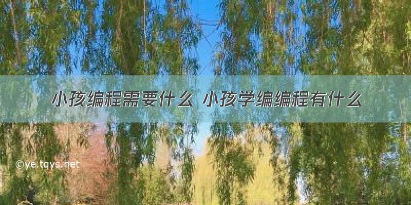 小孩编程需要什么 小孩学编编程有什么