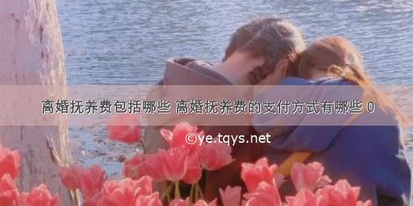 离婚抚养费包括哪些 离婚抚养费的支付方式有哪些 0