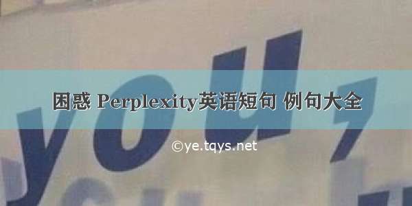 困惑 Perplexity英语短句 例句大全