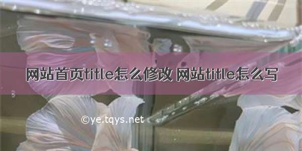 网站首页title怎么修改 网站title怎么写