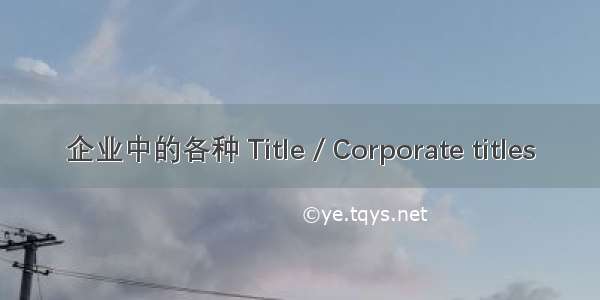 企业中的各种 Title / Corporate titles