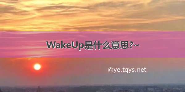 WakeUp是什么意思?~