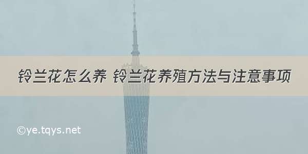 铃兰花怎么养 铃兰花养殖方法与注意事项