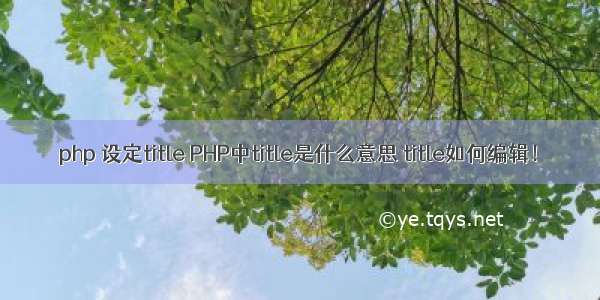 php 设定title PHP中title是什么意思 title如何编辑！