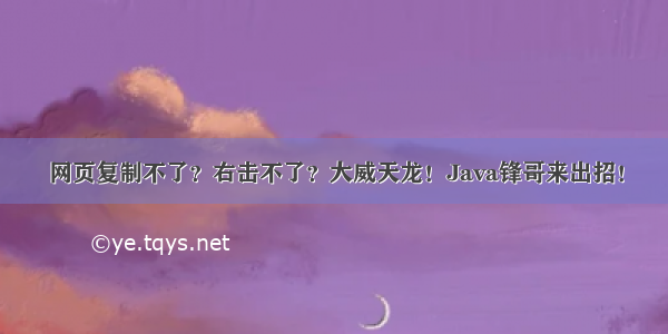 网页复制不了？右击不了？大威天龙！Java锋哥来出招！