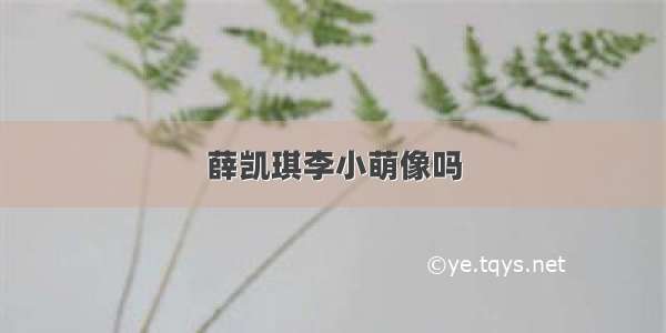 薛凯琪李小萌像吗