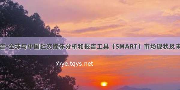 市场调研报告-全球与中国社交媒体分析和报告工具（SMART）市场现状及未来发展趋势
