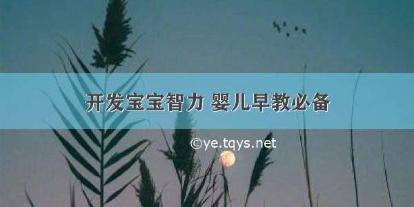 开发宝宝智力 婴儿早教必备