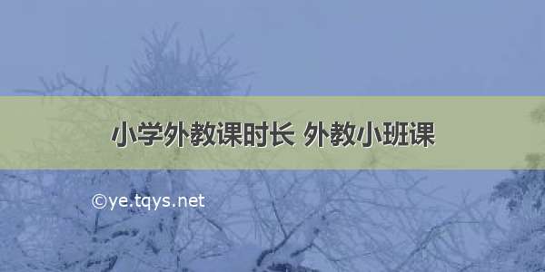 小学外教课时长 外教小班课