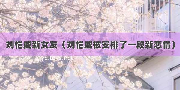 刘恺威新女友（刘恺威被安排了一段新恋情）