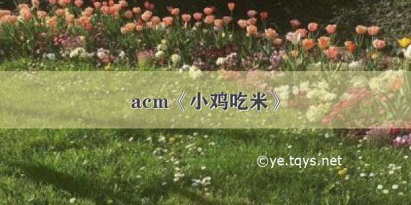 acm《小鸡吃米》