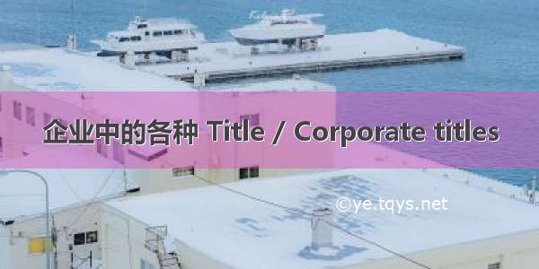 企业中的各种 Title / Corporate titles