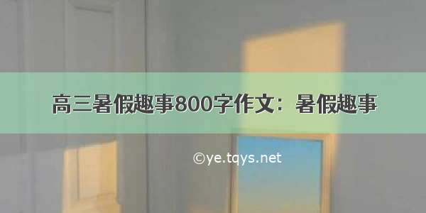 高三暑假趣事800字作文：暑假趣事