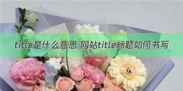 title是什么意思 网站title标题如何书写