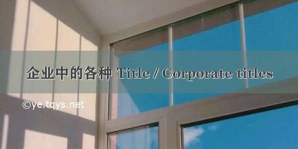 企业中的各种 Title / Corporate titles