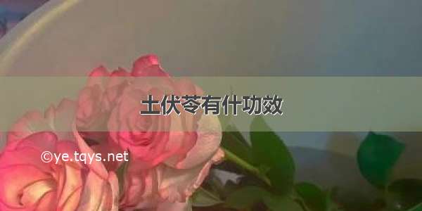 土伏苓有什功效