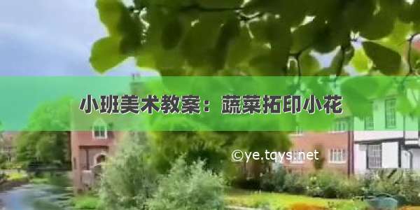 小班美术教案：蔬菜拓印小花