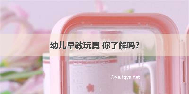 幼儿早教玩具 你了解吗？