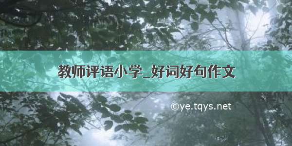 教师评语小学_好词好句作文