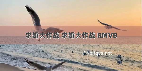 求婚大作战 求婚大作战 RMVB