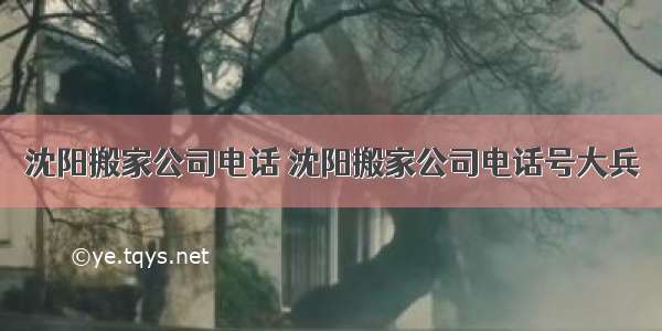 沈阳搬家公司电话 沈阳搬家公司电话号大兵