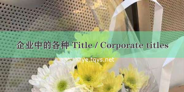 企业中的各种 Title / Corporate titles