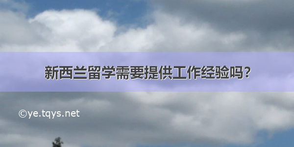 新西兰留学需要提供工作经验吗？