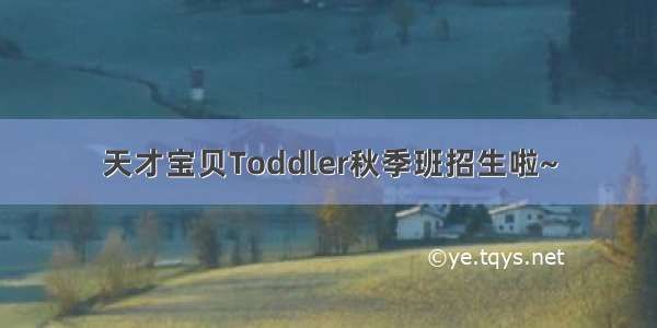 天才宝贝Toddler秋季班招生啦~