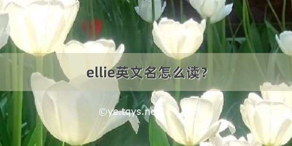 ellie英文名怎么读？