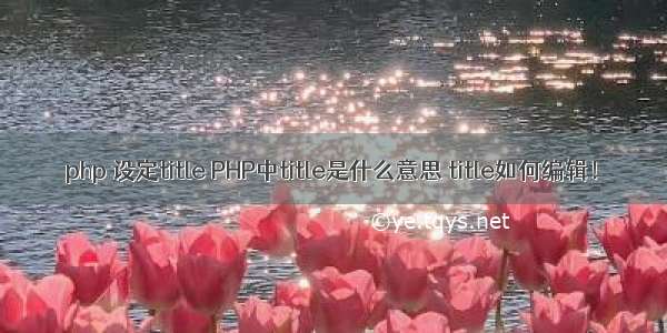 php 设定title PHP中title是什么意思 title如何编辑！