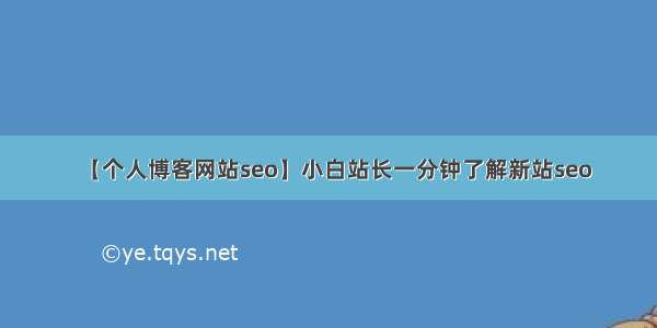 【个人博客网站seo】小白站长一分钟了解新站seo