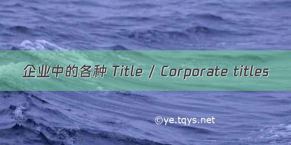 企业中的各种 Title / Corporate titles