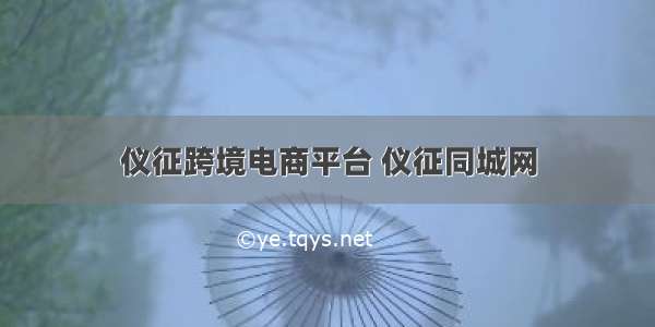 仪征跨境电商平台 仪征同城网