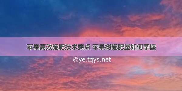 苹果高效施肥技术要点 苹果树施肥量如何掌握