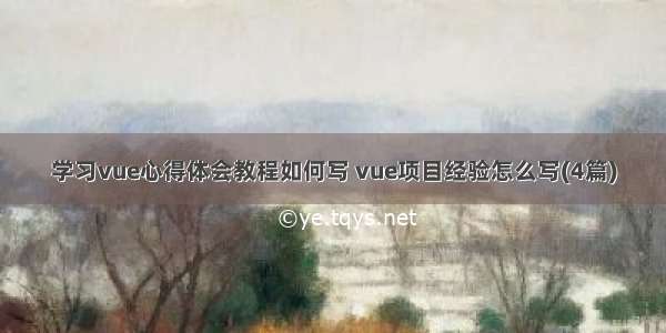 学习vue心得体会教程如何写 vue项目经验怎么写(4篇)