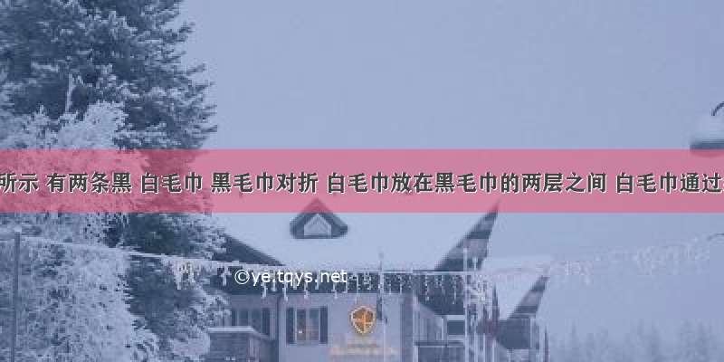 如图所示 有两条黑 白毛巾 黑毛巾对折 白毛巾放在黑毛巾的两层之间 白毛巾通过细