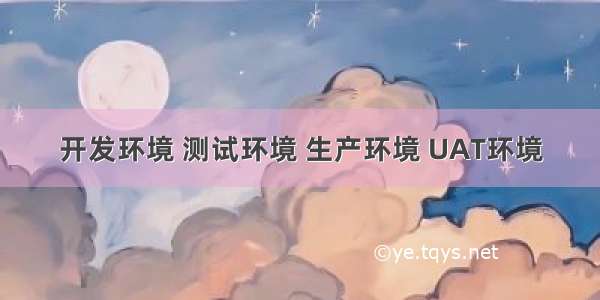 开发环境 测试环境 生产环境 UAT环境