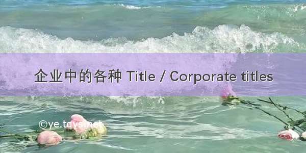 企业中的各种 Title / Corporate titles