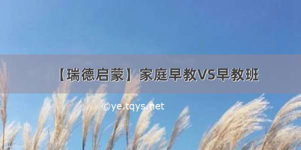 【瑞德启蒙】家庭早教VS早教班