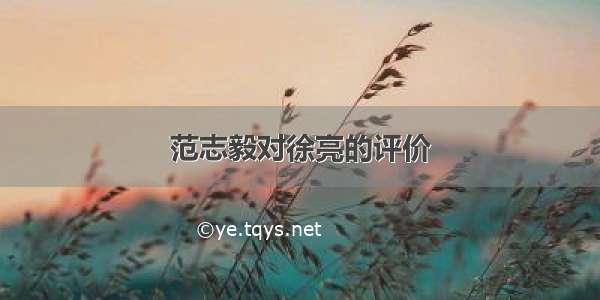 范志毅对徐亮的评价