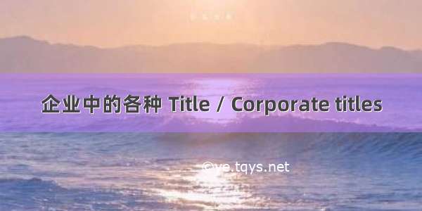 企业中的各种 Title / Corporate titles