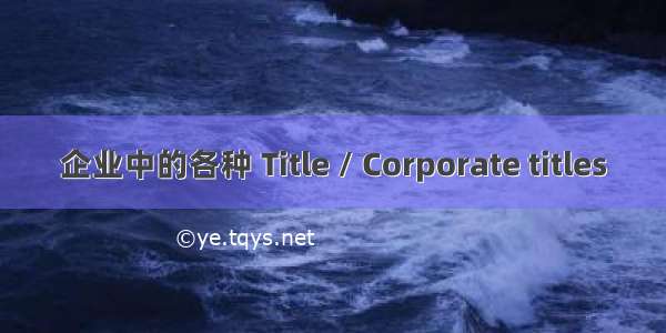 企业中的各种 Title / Corporate titles