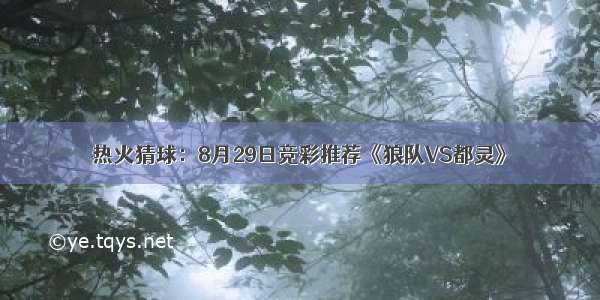 热火猜球：8月29日竞彩推荐《狼队VS都灵》