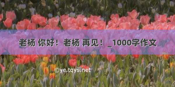 老杨 你好！老杨 再见！_1000字作文